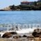 Faros View_accommodation_in_Hotel_Aegean Islands_Thassos_Thassos Chora