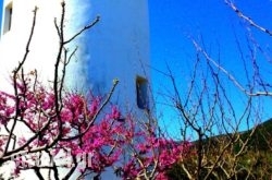Windmill Complex in Gavrio, Andros, Cyclades Islands