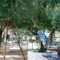 Zagkas Hotel_holidays_in_Hotel_Central Greece_Evia_Limni
