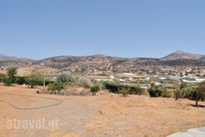 Holiday Home Syros01_best prices_in_Hotel_Cyclades Islands_Syros_Posidonia