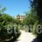 Emely Apartments_best deals_Apartment_Ionian Islands_Corfu_Corfu Rest Areas