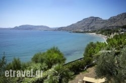 Aquavisionaire in Ioannina City, Ioannina, Epirus