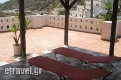 Ostria in Plakias, Rethymnon, Crete Ostria in Plakias, Rethymnon, Crete