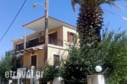 Fenareti Apartments in Mylopotamos, Rethymnon, Crete