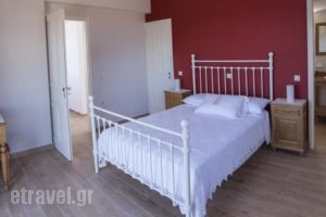 Villa Alico BSV_best prices_in_Villa_Ionian Islands_Zakinthos_Zakinthos Rest Areas