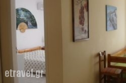 Mitseas Apartments in Vasiliki, Lefkada, Ionian Islands