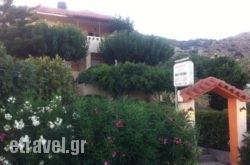 Despoina Apartments in Ammoudara, Heraklion, Crete