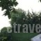 Isabel Artemis_best deals_Hotel_Thessaly_Magnesia_Zagora
