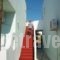 Nina Studios_lowest prices_in_Room_Dodekanessos Islands_Karpathos_Lakki