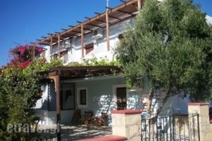 Nina Studios_best prices_in_Room_Dodekanessos Islands_Karpathos_Lakki