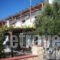 Nina Studios_best prices_in_Room_Dodekanessos Islands_Karpathos_Lakki