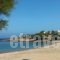 Villa San Dimitrio_best deals_Villa_Cyclades Islands_Paros_Paros Chora