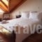 Xenonas Doma_lowest prices_in_Hotel_Central Greece_Viotia_Arachova