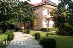 Alisachni in Amarandos, Ioannina, Epirus