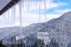 Hotel Magiossi_best prices_in_Hotel_Thessaly_Trikala_Neraidochori