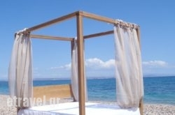 Theoxenia in Hydra Chora, Hydra, Piraeus Islands - Trizonia