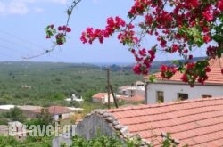 Fenareti’S House in Antiparos Rest Areas, Antiparos, Cyclades Islands
