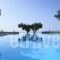 Kakkos Bay Hotel And Bungalows_best prices_in_Hotel_Crete_Lasithi_Ierapetra