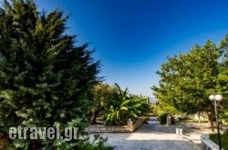 Small Village in Pinakates, Magnesia, Thessaly