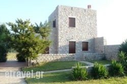 Ktima Petalea in Pilio Area, Magnesia, Thessaly