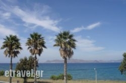 Andromeda Hotel Apartments in Faliraki, Rhodes, Dodekanessos Islands