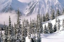 Argyriou Wine Tasting Guest House in Neochori, Karditsa, Thessaly