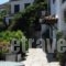 Thea Home Hotel_accommodation_in_Hotel_Sporades Islands_Skopelos_Skopelos Chora