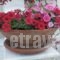 Corfu Anastasia_best deals_Hotel_Ionian Islands_Corfu_Corfu Rest Areas