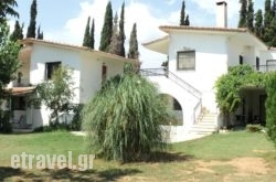 Katerina Apartments in Athens, Attica, Central Greece