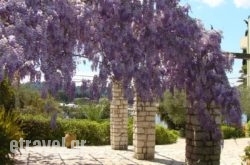 Alexandros & Gerekos Apartments in Platanias, Chania, Crete