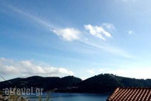 Despoina Home_best prices_in_Hotel_Sporades Islands_Skiathos_Skiathos Chora