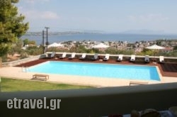 Xenon Estate in Andros Chora, Andros, Cyclades Islands