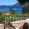 Lithea Villas and Studios by the Sea_best deals_Villa_Sporades Islands_Skopelos_Neo Klima - Elios