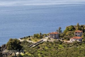 The Mulberry House_travel_packages_in_Thessaly_Magnesia_Lafkos