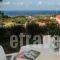 Villa Georgia_holidays_in_Villa_Ionian Islands_Kefalonia_Kefalonia'st Areas