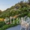 Villa Coral_best deals_Villa_Central Greece_Attica_Markopoulo