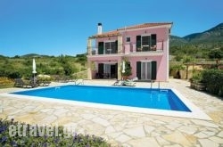 Jasmin in Archea (Palea) Epidavros , Argolida, Peloponesse