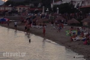 Despoina Apartments_lowest prices_in_Apartment_Central Greece_Fthiotida_Agios Konstantinos