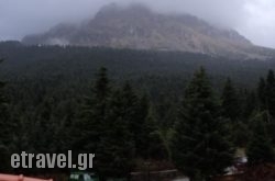 Hotel Tzoumerka in Ierapetra, Lasithi, Crete