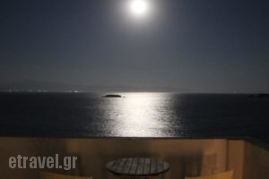 Blue Dolphin_lowest prices_in_Hotel_Cyclades Islands_Antiparos_Antiparos Chora