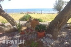 Nicholas Beach Studios in  Krestena, Ilia, Peloponesse