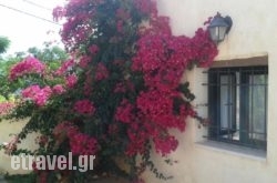 Petra & Elia in Kos Rest Areas, Kos, Dodekanessos Islands