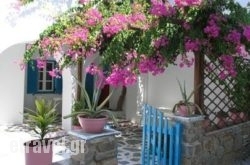 Rocco’s Studios in Kefalonia Rest Areas, Kefalonia, Ionian Islands