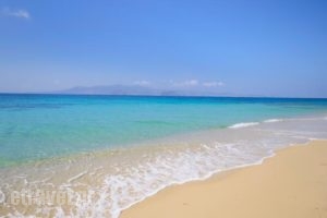 Maria'S Rooms & Studios_travel_packages_in_Cyclades Islands_Naxos_Naxos chora