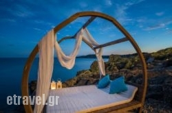 Zakynthos Sea Gems in Aridea, Pella, Macedonia