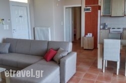 Galini Apartments in Kefalonia Rest Areas, Kefalonia, Ionian Islands