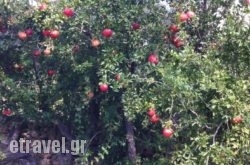 Perivoli House in Pythagorio, Samos, Aegean Islands
