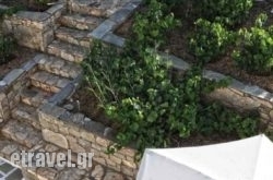 Haris Apartments in Raches , Ikaria, Aegean Islands